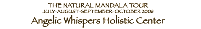 JULY-AUGUST-SEPTEMBER 2008 -- Angelic Whispers Holistic Center